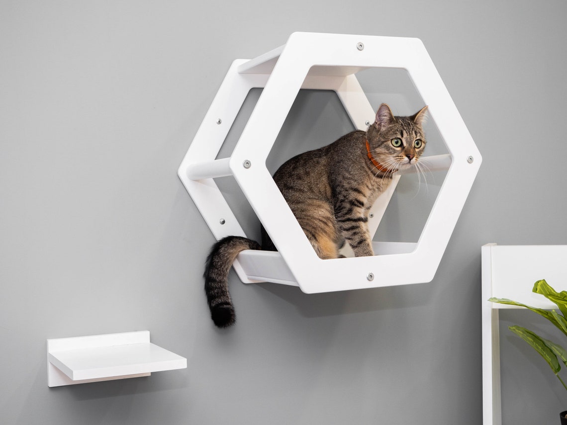 Cat Hexagon shelf stable Free shipping Cat wall way Play Etsy