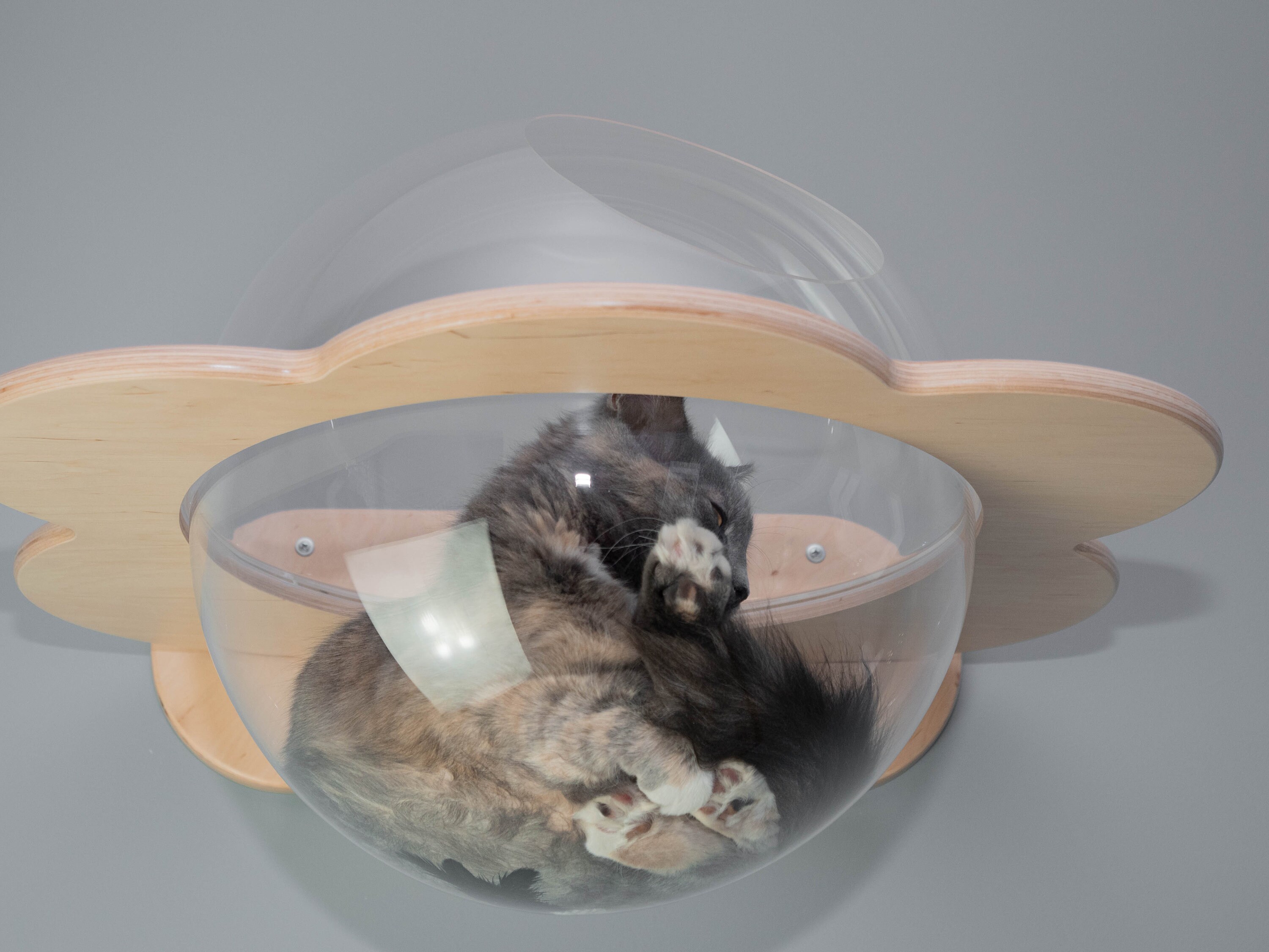 Bubble cat bed Window cat perch Wood cat wall shelf Cat Etsy