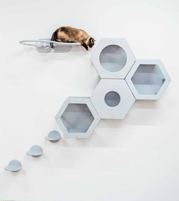 8 pieces cat playground Unique space for your cat Cat black wall complex Modern cat condo Cat beds Cat furniture wall Cat ladder floating