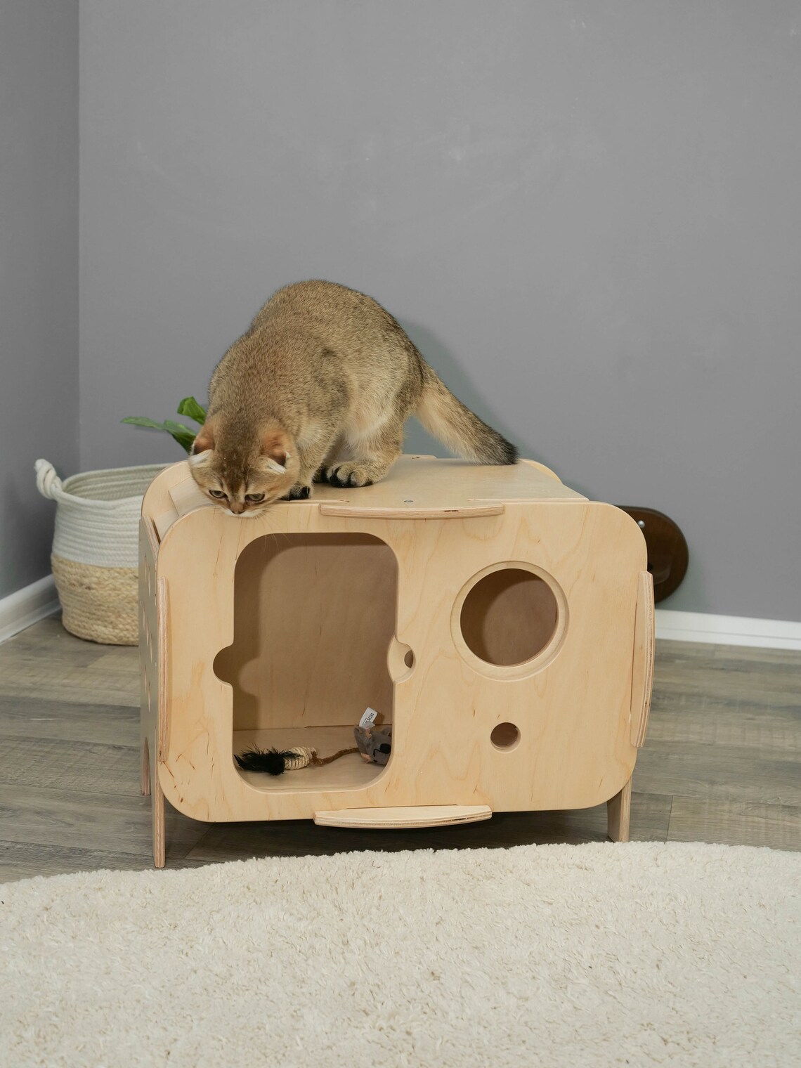 Cat house indoor Pet bed house Light Cat House Cat place Etsy