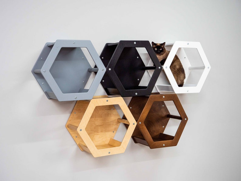 1 Cat Hexagon Catwalk Hexagon Cat Shelves Cat Climb Wall Cat Etsy