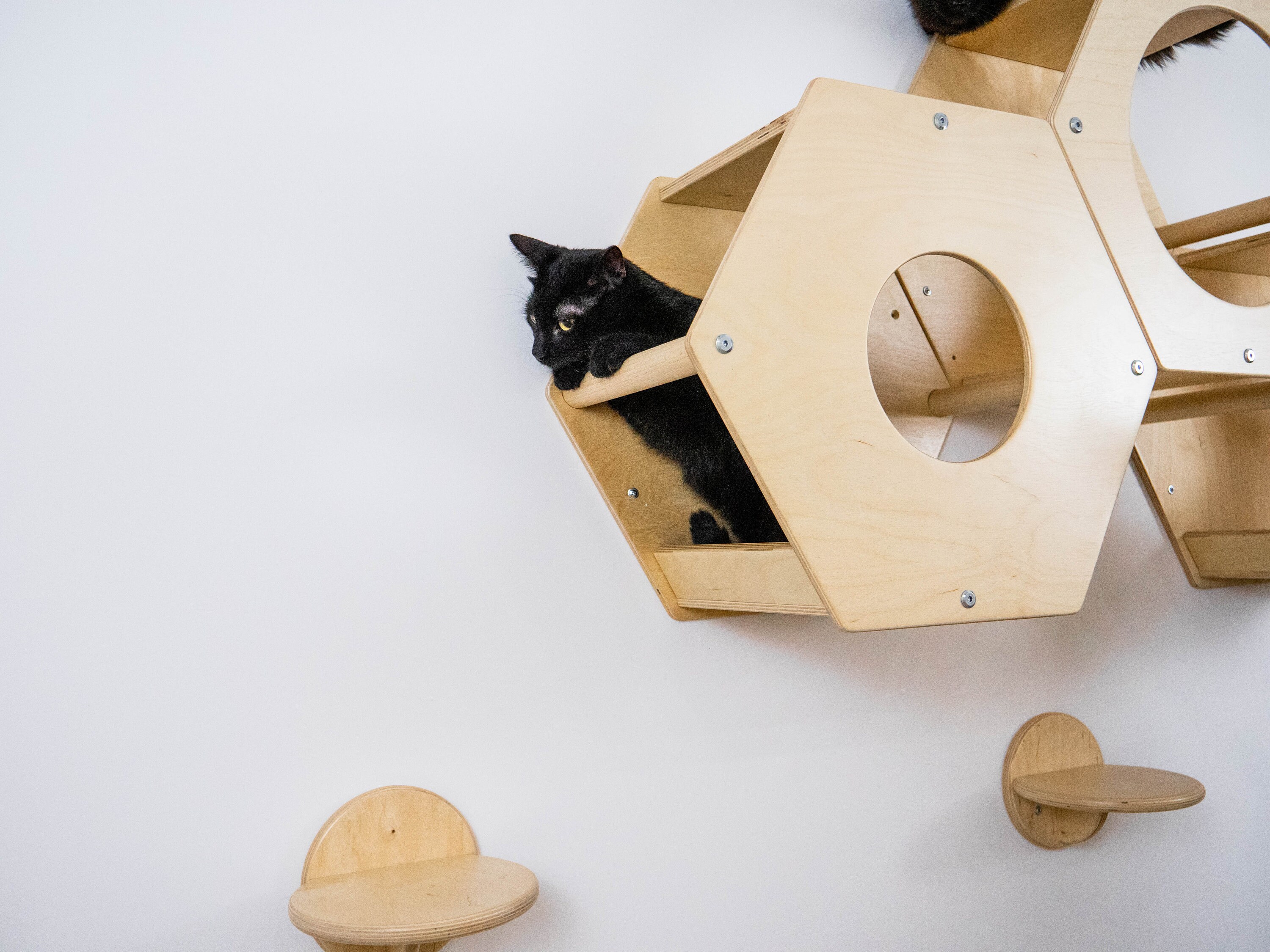 New home gift Cat wall furniture Cat play furniture Wall cat Etsy