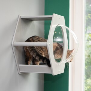 Modern cat furniture
Hexagon shelves
Cat trees
Wall mount cat beds