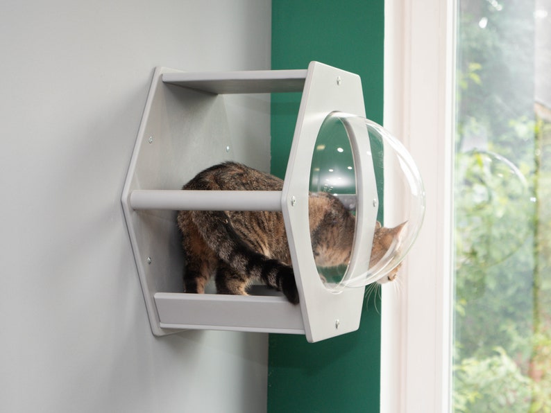 Modern cat furniture
Hexagon shelves
Cat trees
Wall mount cat beds