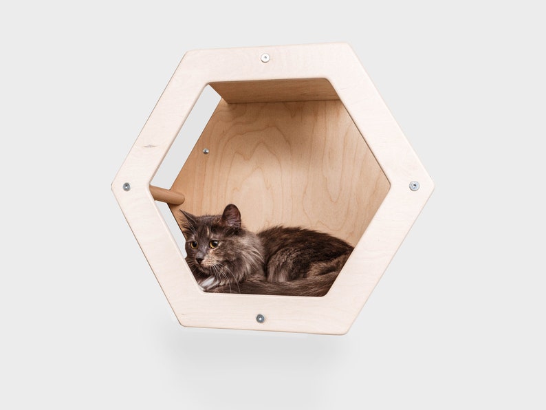 Cat Tree Hexagon Shelves Set of 4 Cat Wall Furniture Cat Etsy