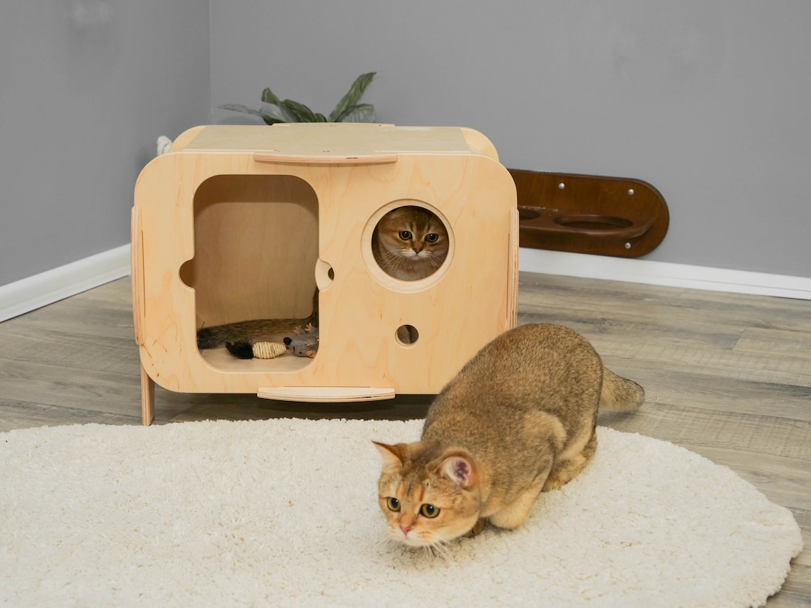 Cat house indoor Pet bed house Light Cat House Cat place Etsy
