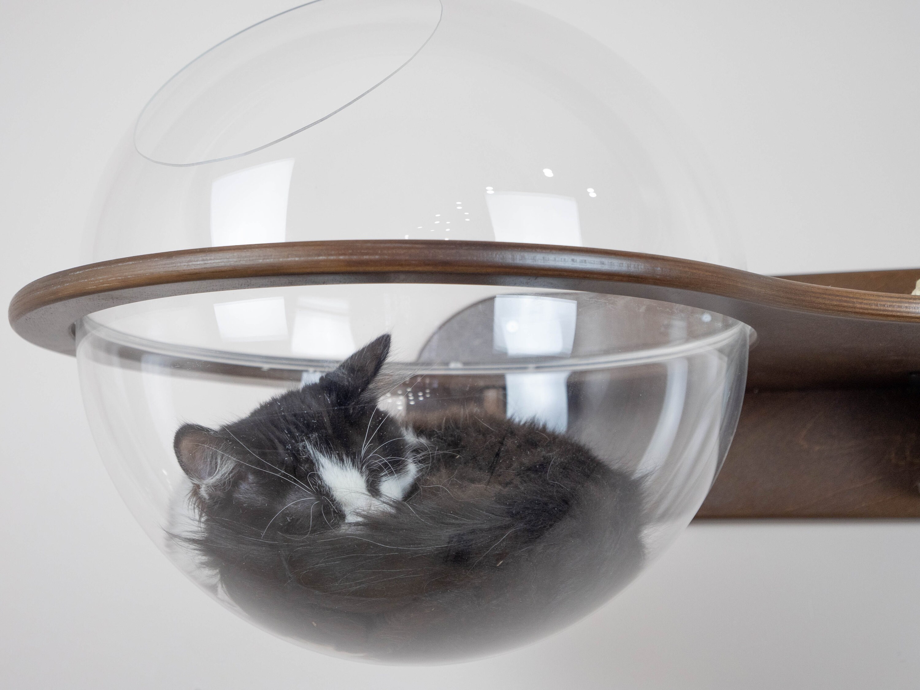 Perfect Gift For Cat Lovers Cat-Themed Enamel Pins Cute Gifts