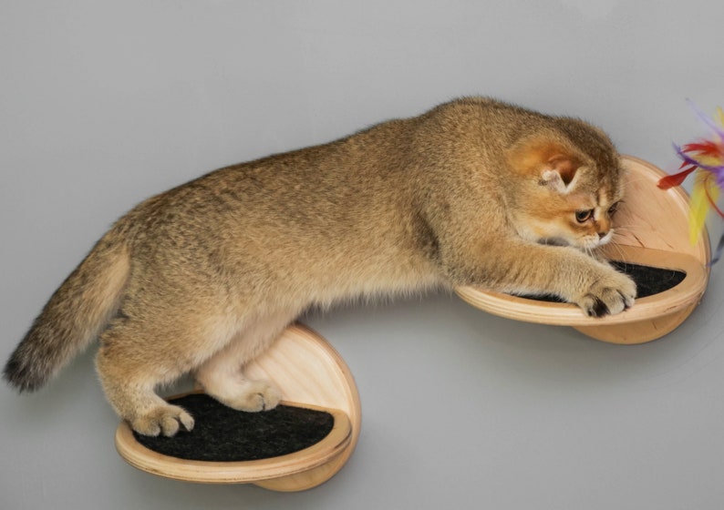 NonSlip Cat Steps Cat Tree Cat Wall Steps Cat Shelves Cat Gym Etsy