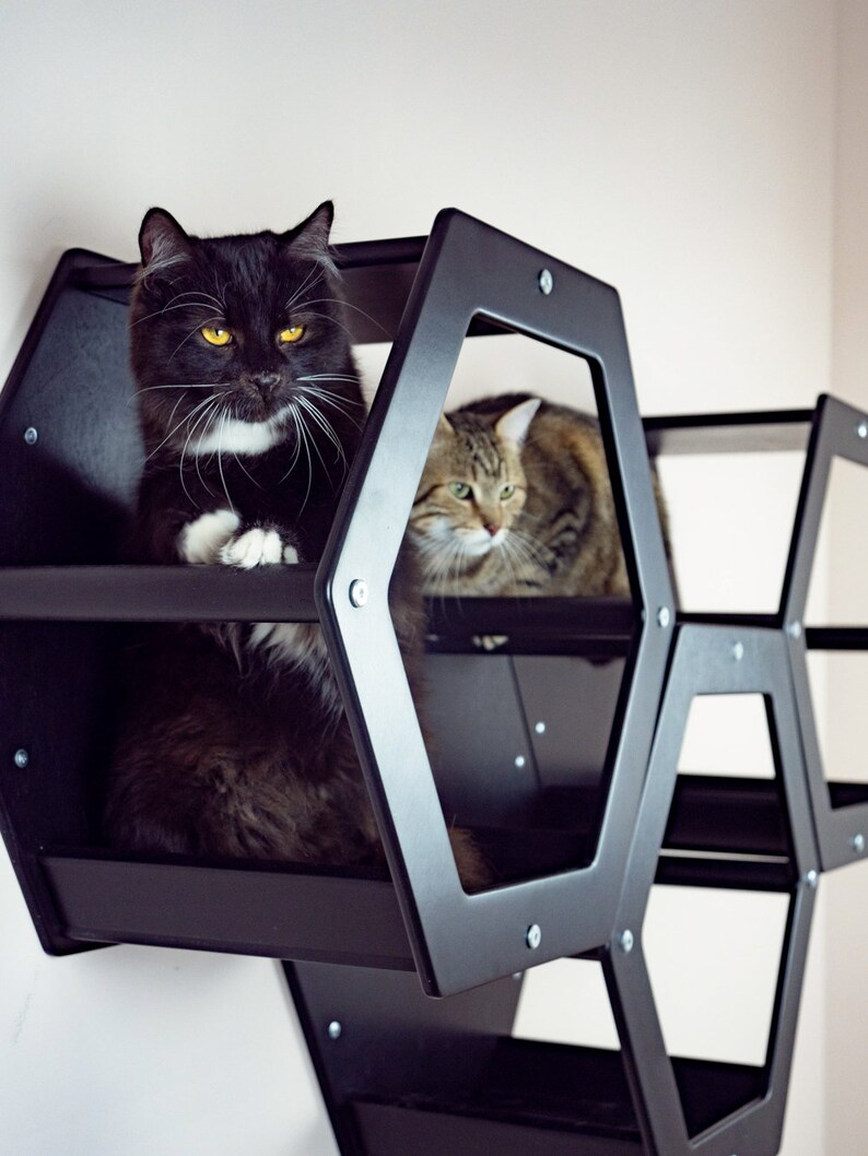 Cat Tree Hexagon Shelves Set of 4 Cat Wall Furniture Cat Etsy Australia