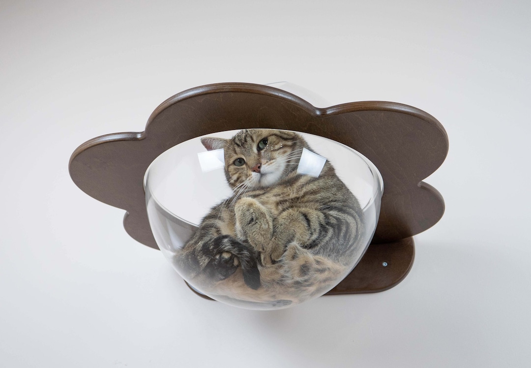 Wallmounted Transparent Chaise Lounge for Cats Cat Window Bed