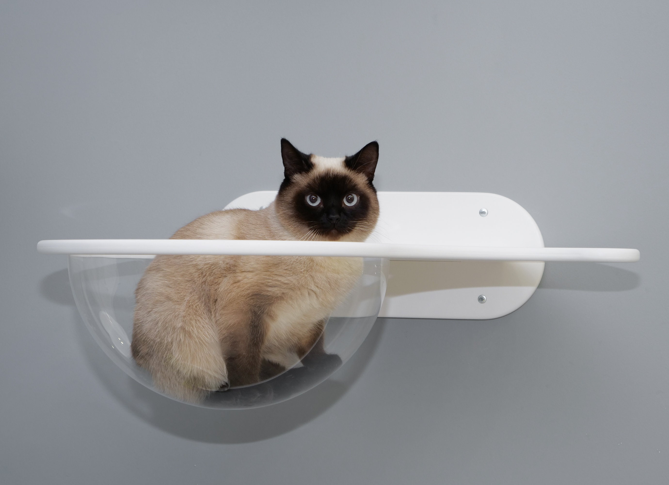 Cat House Cat window Perch Bubble cat Shelf Cat wall Bubble Etsy