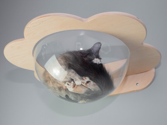 floating cat bed bubble