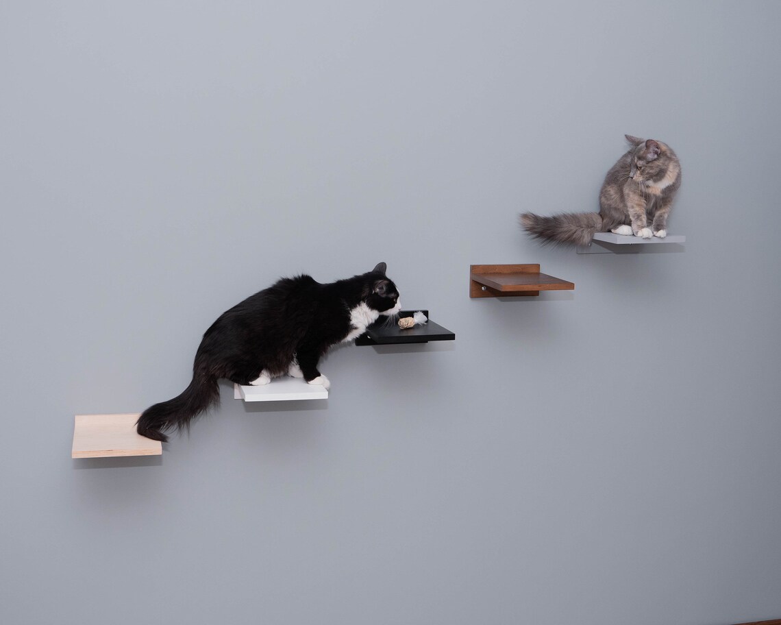 1 Cat stair Sturdy step for wall Cat ledge Kitty climbing Etsy
