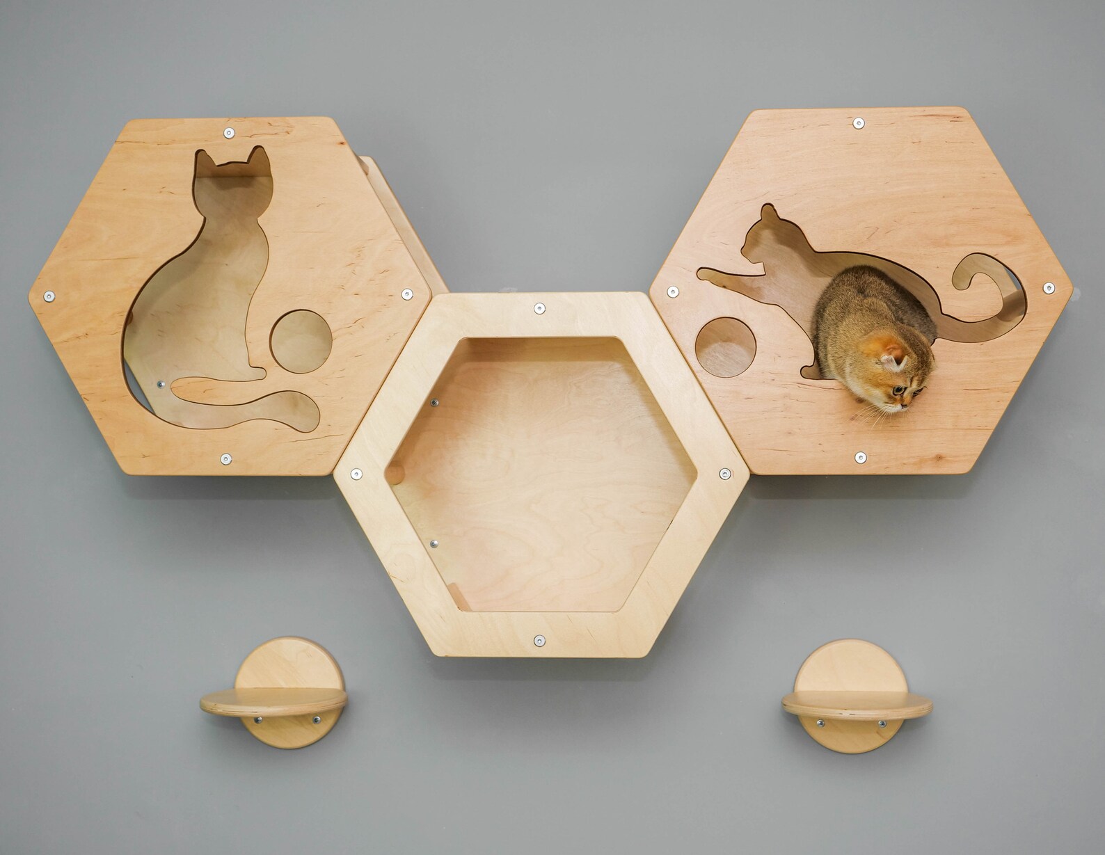 Cat Perch Modern Shelves for Cats Unique Cat Tree Etsy