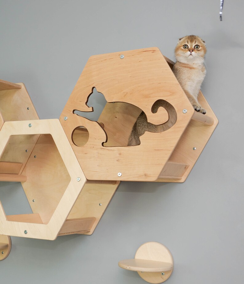 Cat Perch Modern Shelves for Cats Unique Cat Tree Etsy