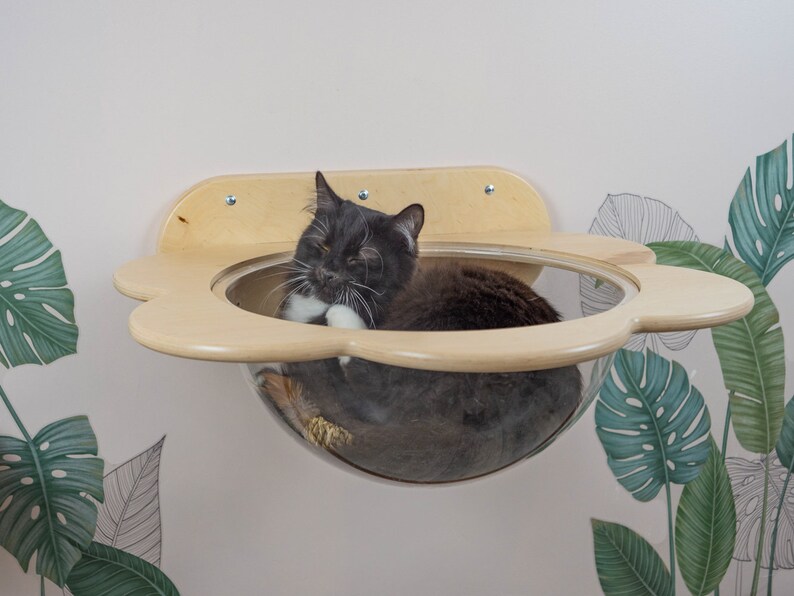 Wallmounted Transparent Chaise Lounge for Cats Cat Window Bed Etsy