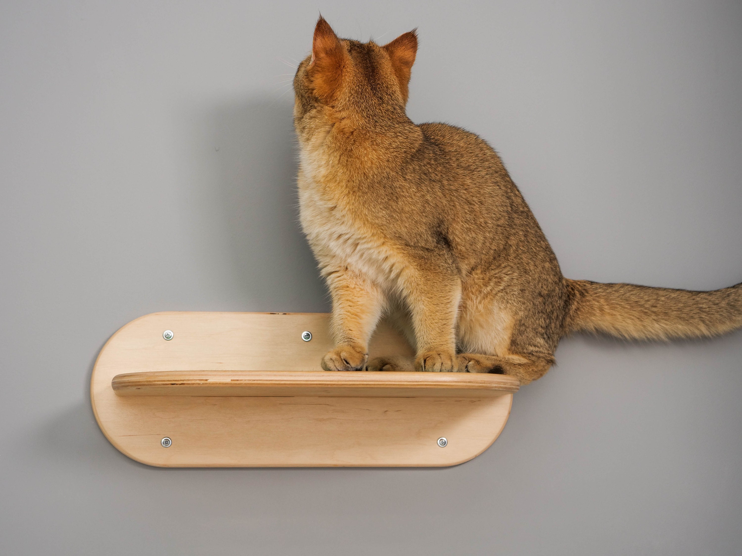 Cat Wall Climbing Shelf Catwalk Cat Wall Furniture Cat Shelves Etsy