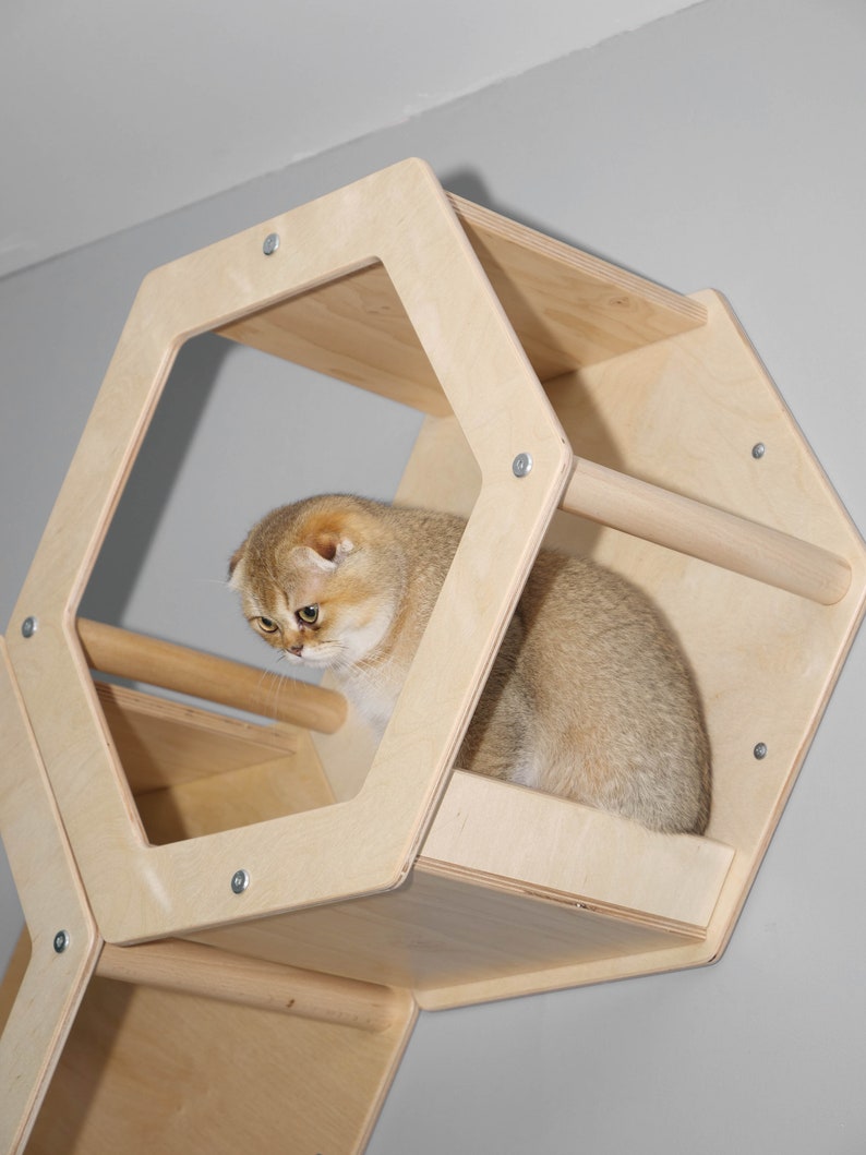 1 Cat Hexagon Catwalk Hexagon Cat Shelves Cat Climb Wall Cat Etsy