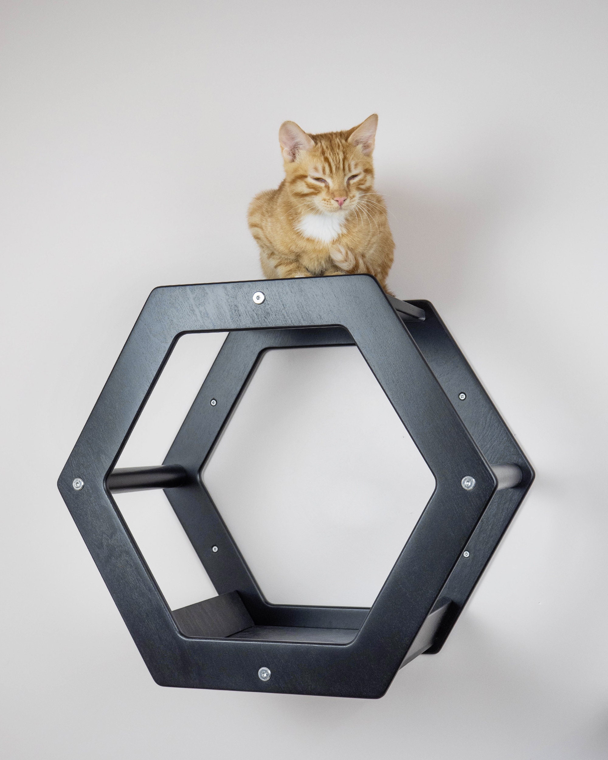 Cat wall shelf Pet house Cat hexagon shelf Kitty walk for wall Etsy