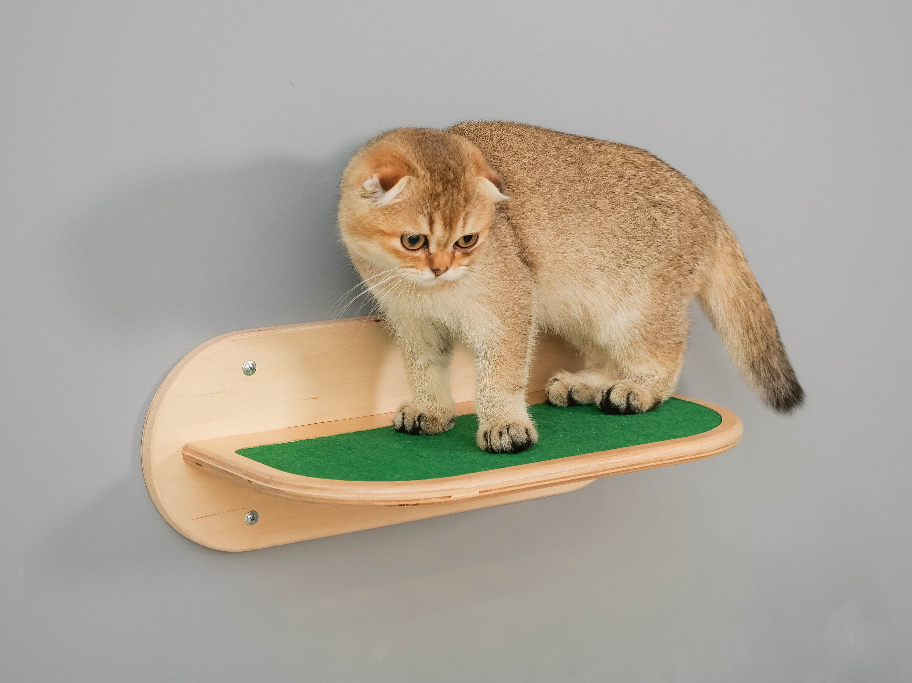 Cat Wall Climbing Shelf Catwalk Cat Wall Furniture Cat Shelves Etsy