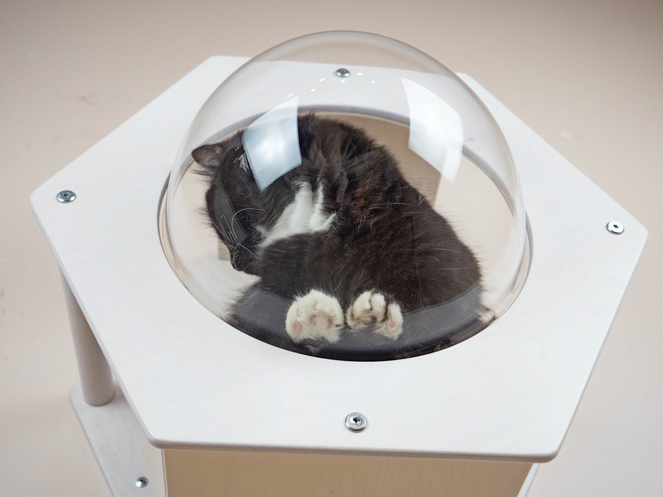 CAT HOUSE handmade Cat bubble shelf Cat house Cat hexagon Cat Etsy