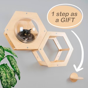 Cat set furniture + Step as a gift  Cat modern house Wall decoration  Cat tree Cat wall furniture  Wooden home for cat  Kitten playplace