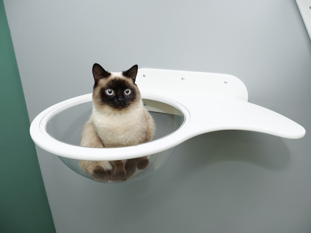 Cat Hiding Place Cat Cave Nest Wall Decoration for Cat Wooden Etsy