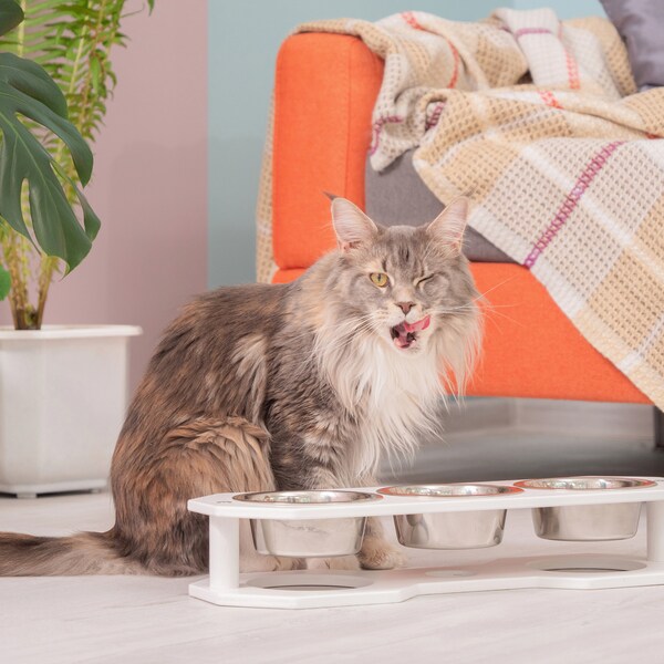 Cat feeding station Triple cat dish food and water bowl holder Cat food bowls Maine coon shelves