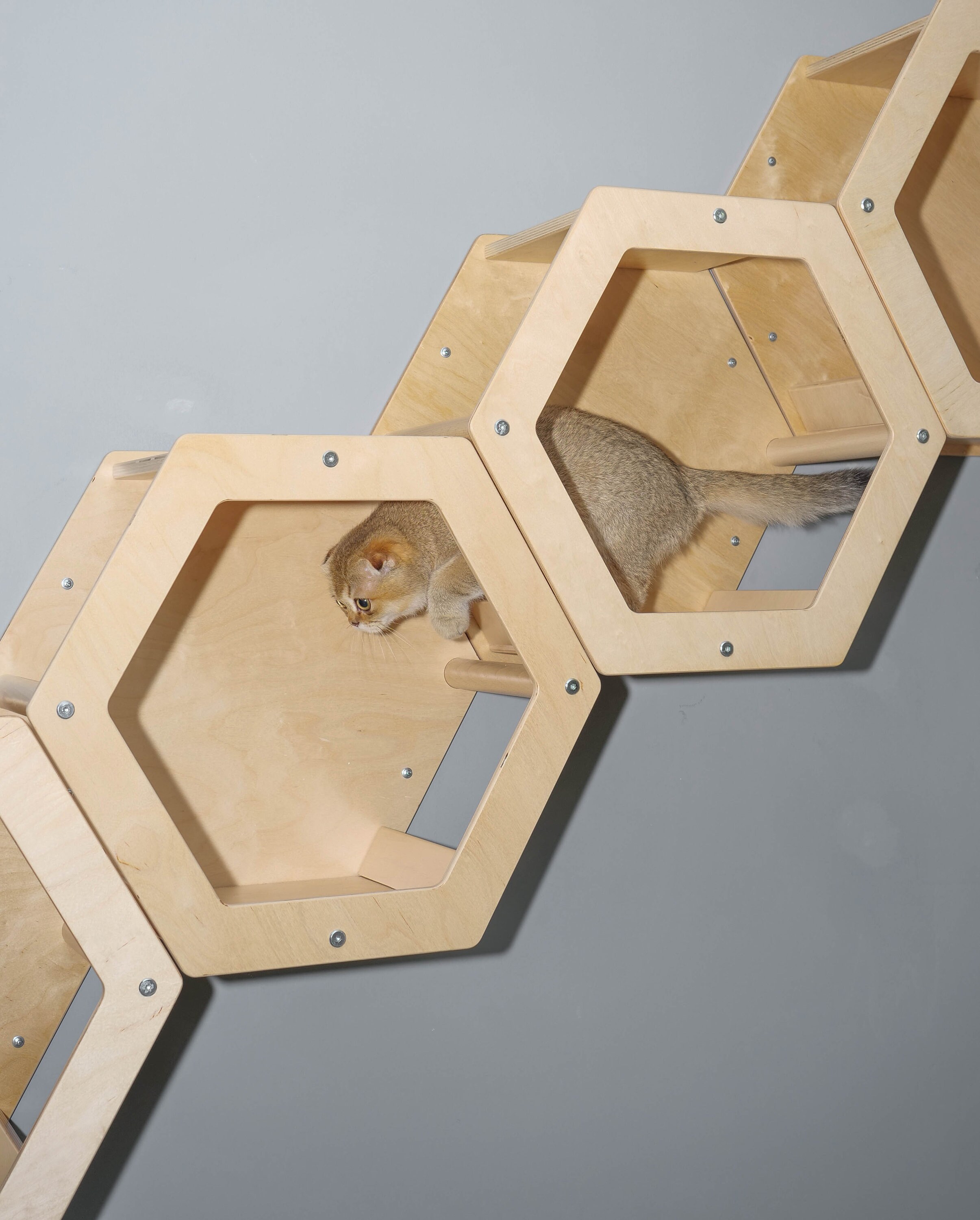 Cat Tree Hexagon Shelves Set of 5 Cat Wall Furniture Cat Etsy