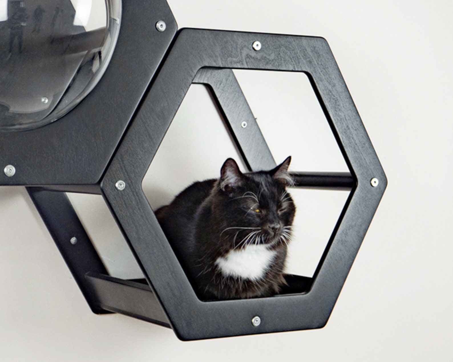 Cat wall shelf Pet house Cat hexagon shelf Kitty walk for wall Etsy