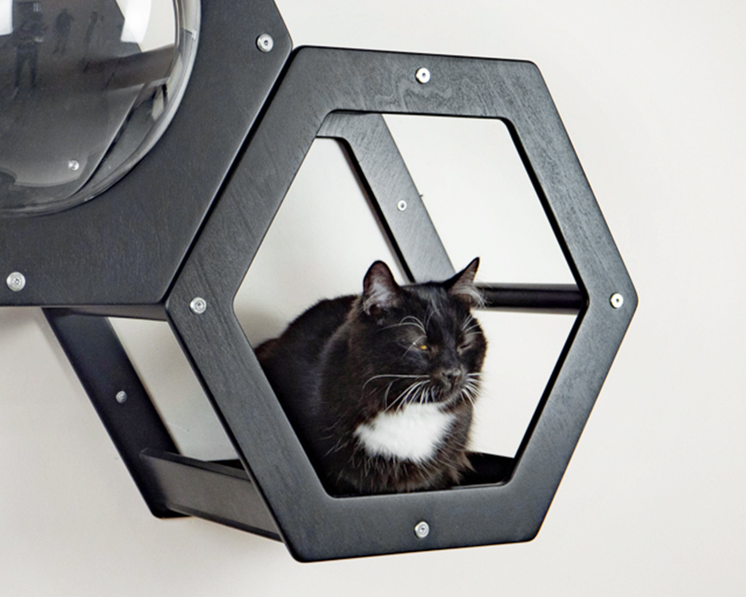 Cat wall shelf Pet house Cat hexagon shelf Kitty walk for wall Etsy