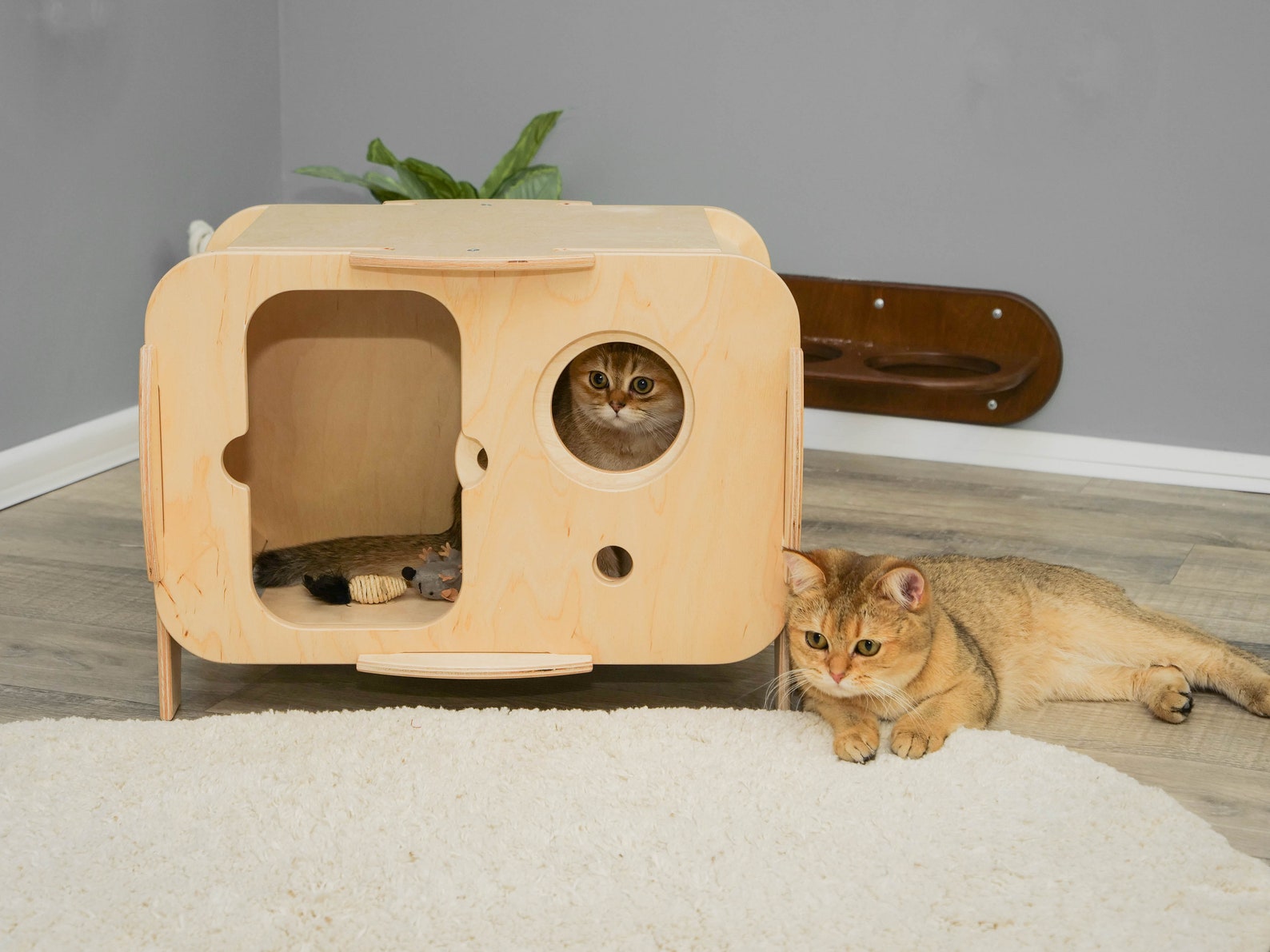Cat house indoor Pet bed house Light Cat House Cat place Etsy