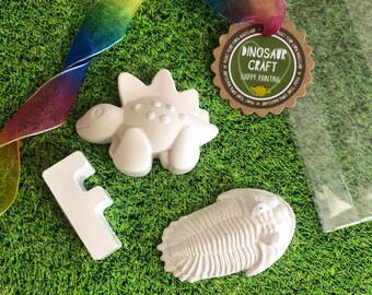 DIY Plaster Dinosaur & Fossil Painting Kit, Initial Craft Set