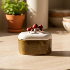 Keramische voorraadpot met deksel | Keukenpot met cactus- of paddenstoelmotief