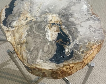 Petrified Wood Coffee Table: Petra Stone Cocktail Table