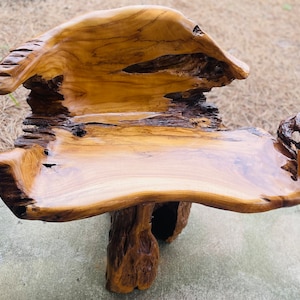 Teak Root Bench Teak Driftwood Chair Live Edge Teak Wood Seat Organic Furniture