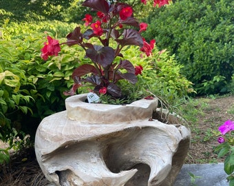 Teak Wood Planter Live Edge Natural Teak Root Flower Pot Teak Driftwood