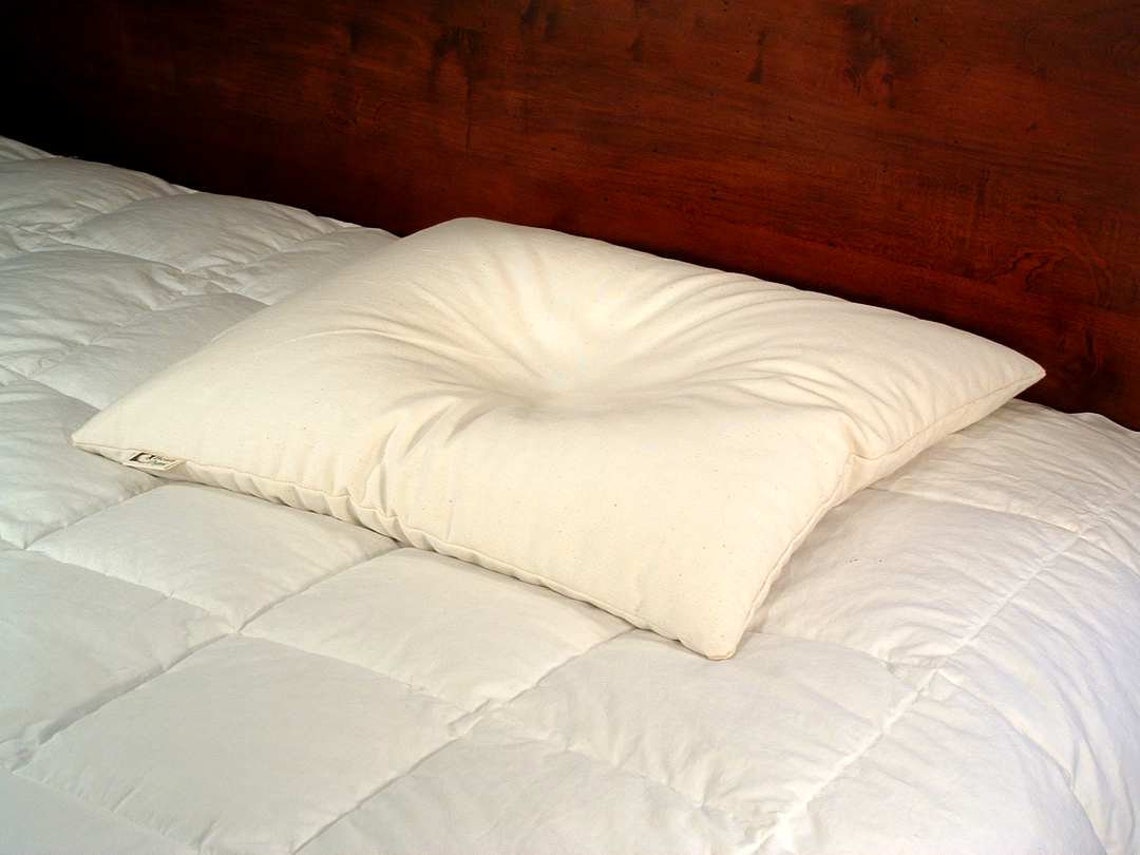 Organic Millet Pillow Organic Pillowcase Organic Cotton Etsy