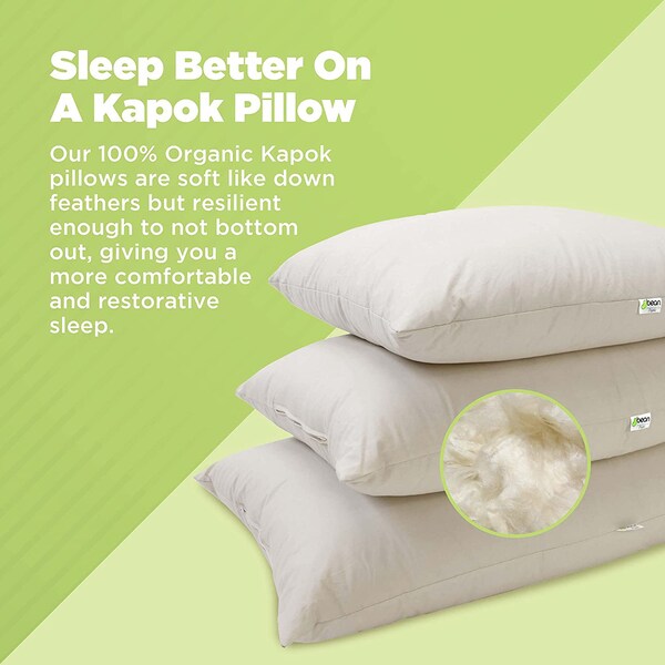 Organic Eco-Friendly Kapok Pillow | Organic Pillow | Earth-Friendly Pillow | Kapok Bed Pillow | Pillow for Bed | Luxury Bedding | Insomnia