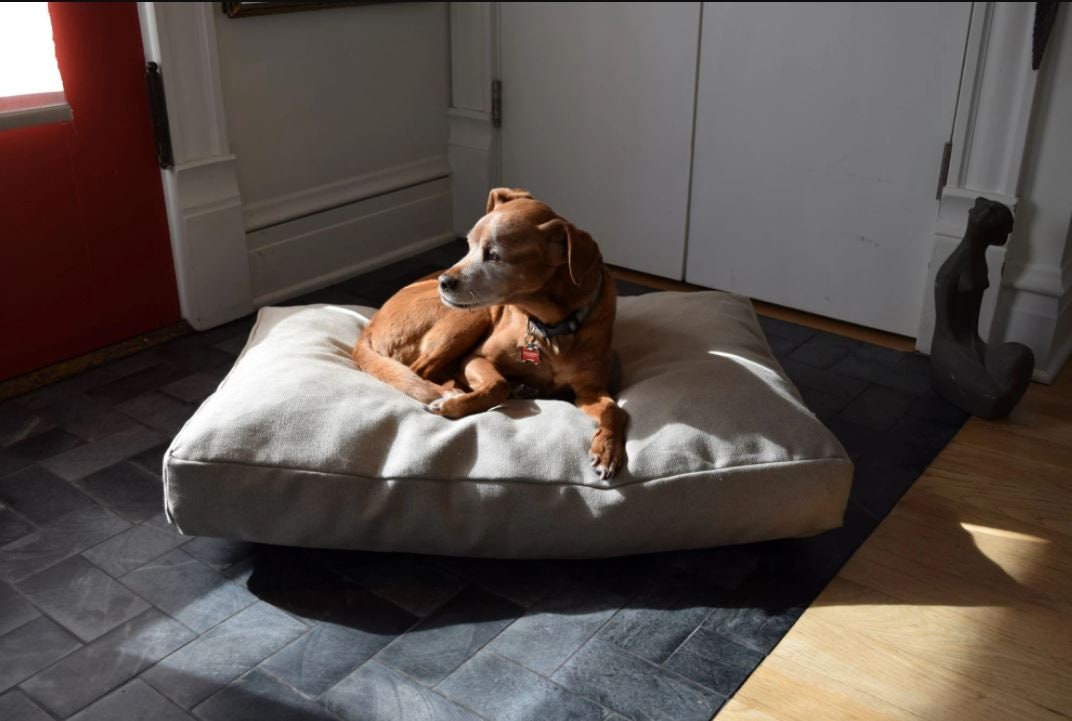 Foam filled Hemp Dog Bed Dog Supplies Hemp Dog Bed Soft Dog Bed Eco friendly Pet Bed Gift for Dog Lover Etsy UK