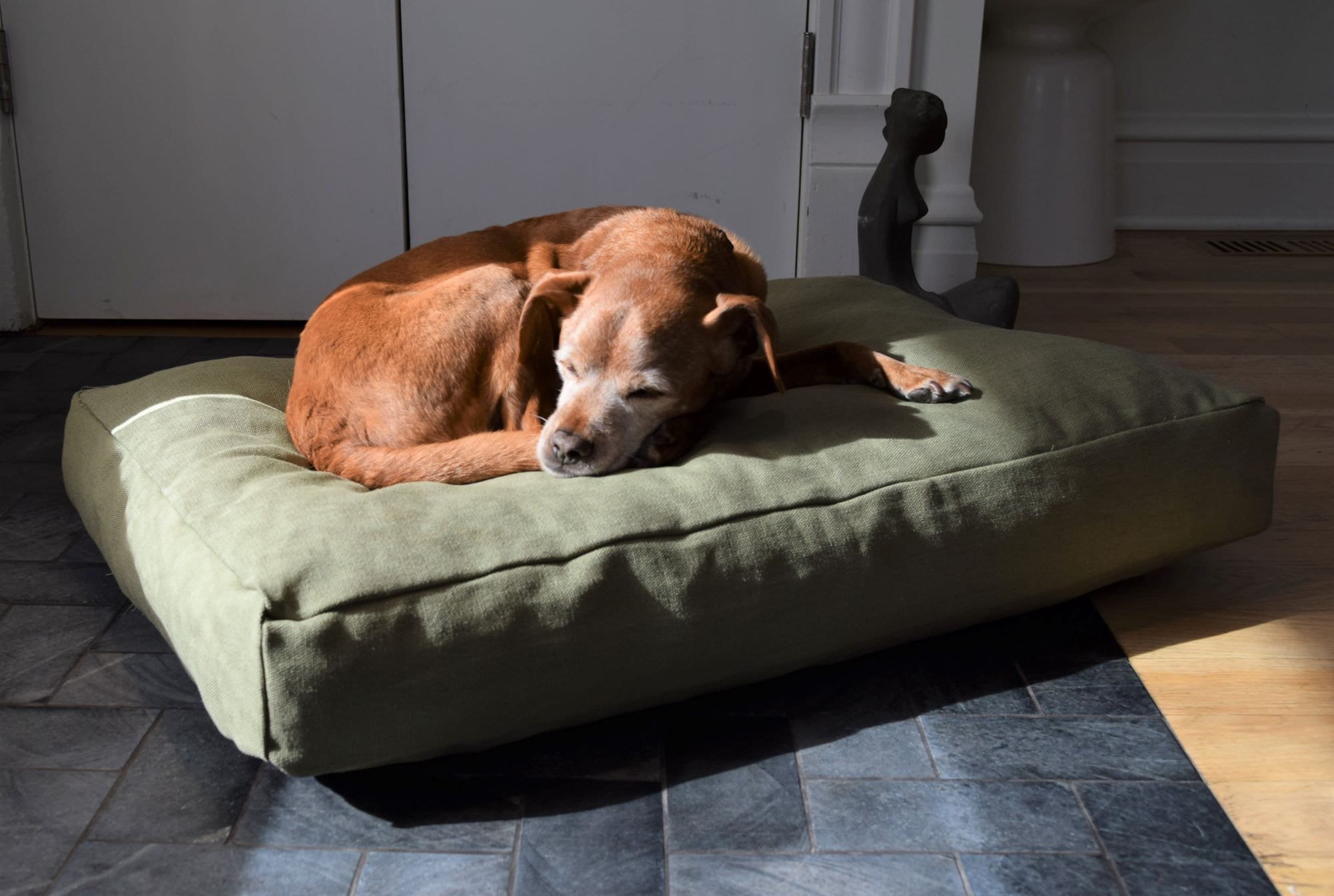 Hemp Dog Bed LATEX FILLED - Made in USA