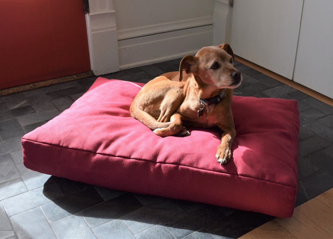 Latexfilled Hemp Dog Bed Dog Supplies Hemp Dog Bed Soft Dog Bed Ecofriendly Pet Bed Etsy