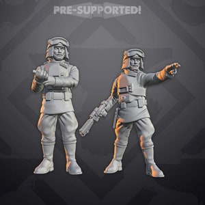 Puede incluir: Dos figuras en miniatura de plástico gris de Stormtroopers Imperiales de Star Wars. Las figuras están pre-soportadas y listas para ser pintadas.