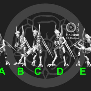 Puede incluir: Cinco figuras en miniatura impresas en 3D de criaturas humanoides con alas y sosteniendo armas. Las figuras están etiquetadas de la A a la E.