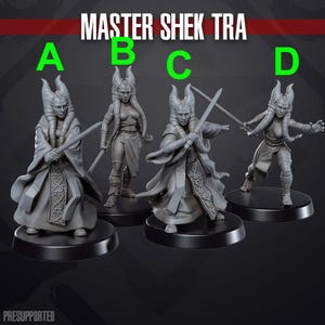 May include: Four gray 3D-printed figures of a female character, each in a different pose, holding a sword. The figures are on black circular bases. The text "MASTER SHEK TRA" is at the top of the image.