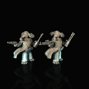 Ortolan Officer - War Bear Studios | Legion compatible - Imperial Assault - 3D printed