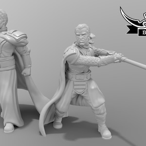 Può includere: Due figurine di plastica grigia di persone che indossano delle vesti e tengono in mano delle spade laser. Le figurine sono in posizione di combattimento. Il testo "Black Remnant" è visibile sullo sfondo.