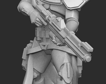 May include: A gray plastic action figure of a Star Wars clone trooper, wearing a helmet and holding a blaster rifle.