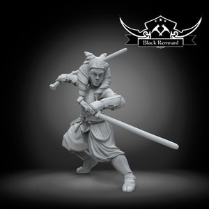 Peut inclure: Une figurine de guerrière féminine en 3D imprimée en gris, avec une coiffe et tenant deux épées. La figurine est en position de combat. La miniature est de Black Remnant.