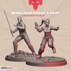 Op de afbeelding: Twee grijze 3D-geprinte miniaturen van een ridder en een piloot. De ridder houdt een lichtzwaard vast en de piloot houdt een blasterpistool vast. Beide miniaturen staan op een grijze basis.